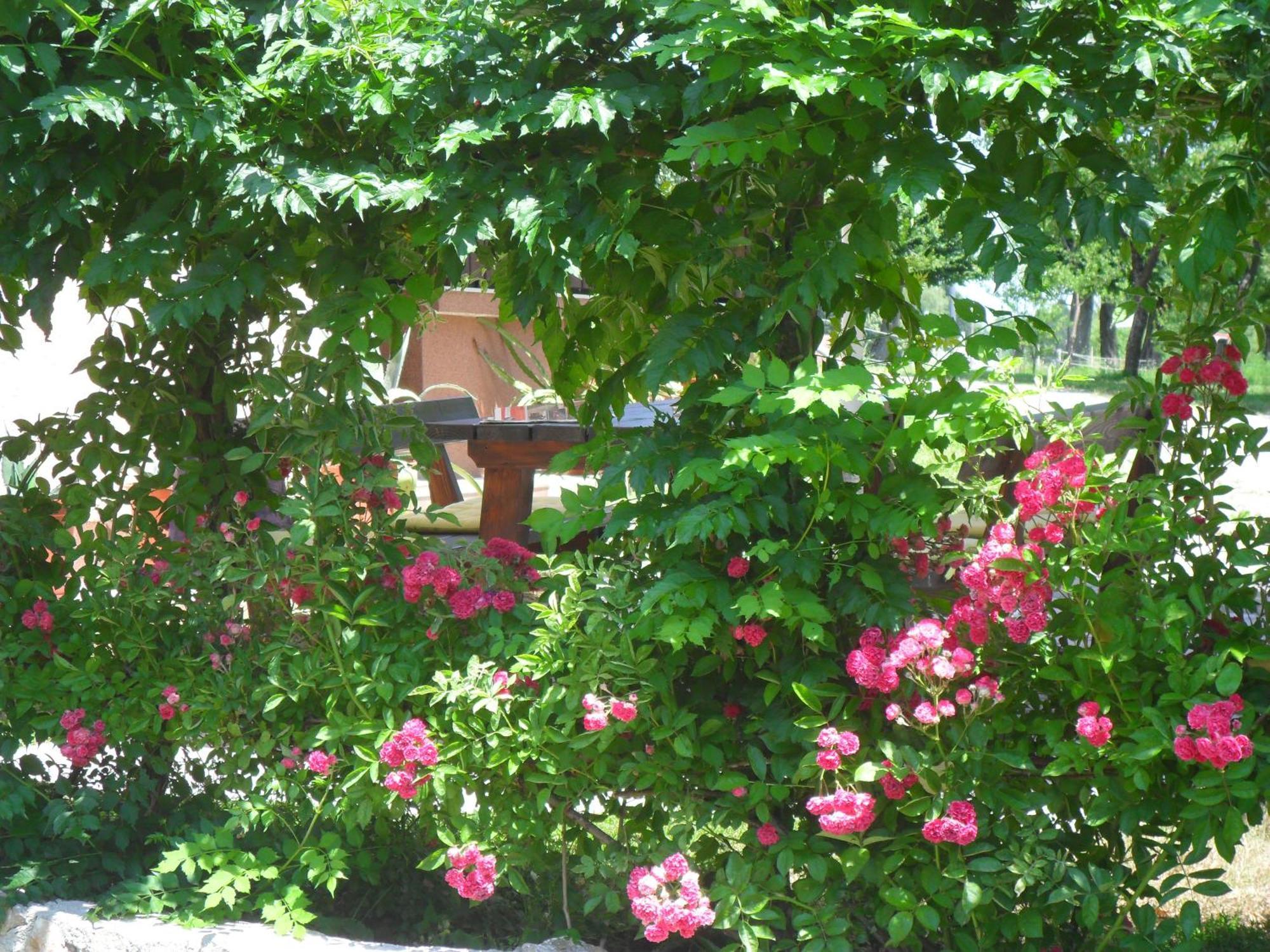 Guest Accommodation Marko Kesić Grabovac  Zewnętrze zdjęcie
