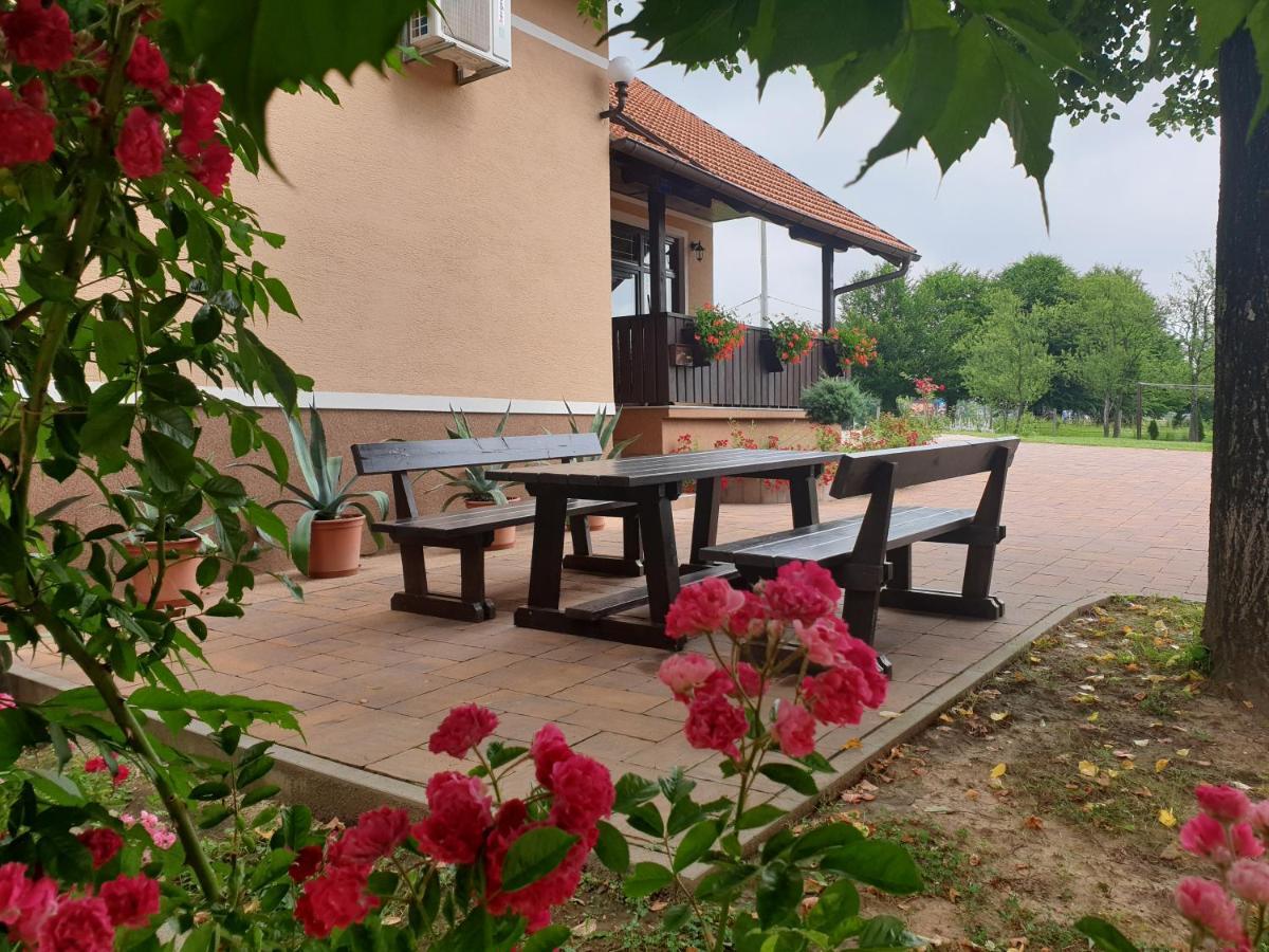 Guest Accommodation Marko Kesić Grabovac  Zewnętrze zdjęcie